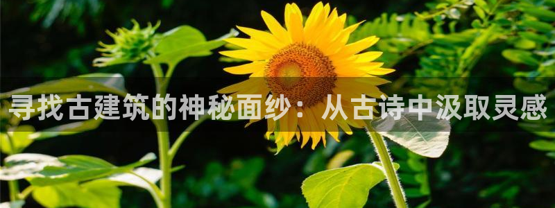 必发误乐彩票app平台下载大全