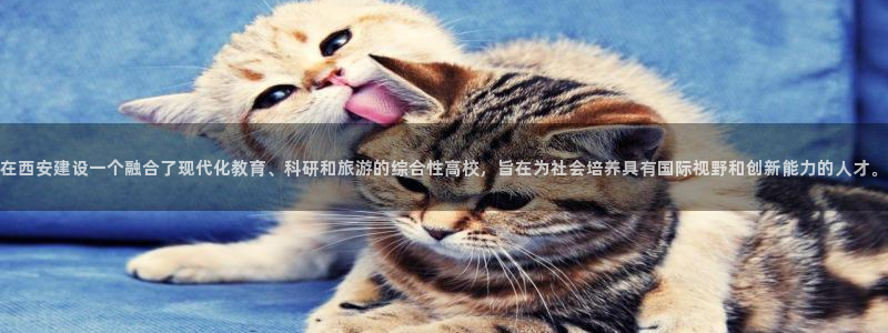 乐赚发圈平台有风险嘛