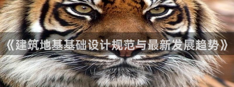 乐发平台怎么样知乎