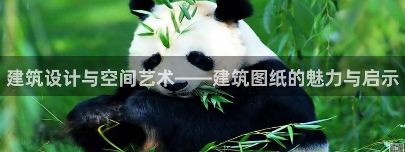 乐发彩票全国直播平台