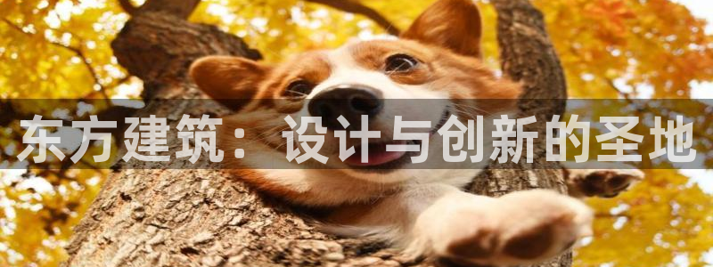 乐发 lll平台：东方建筑：设计与创新的圣地