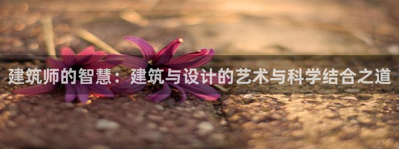 乐信短信平台文案怎么发：建筑师的智慧：建筑与设计的艺术与科学结合之道