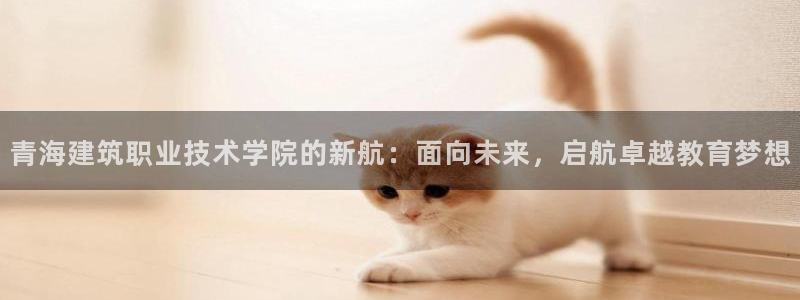 乐卡发平台：青海建筑职业技术学院的新航：面向未来，启航卓越教育梦想