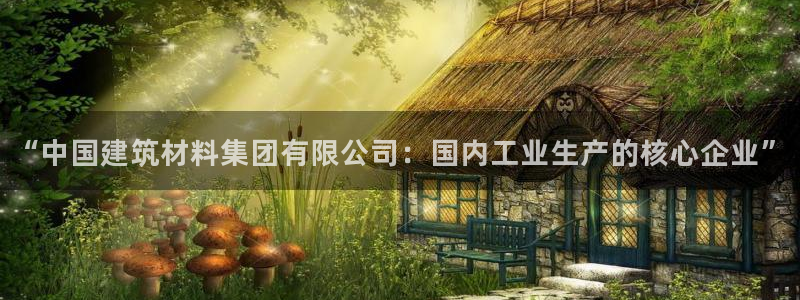 乐发平台注册下载安装：“中国建筑材料集团有限公司：国内工业生产的核心企业”