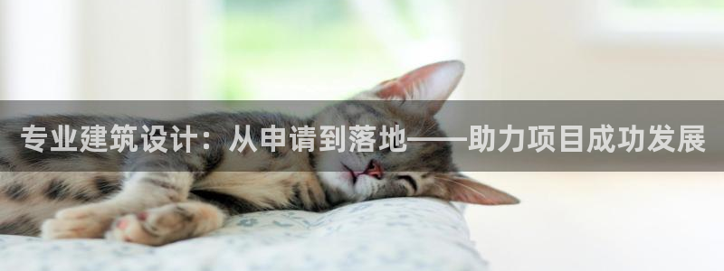 乐发游戏平台