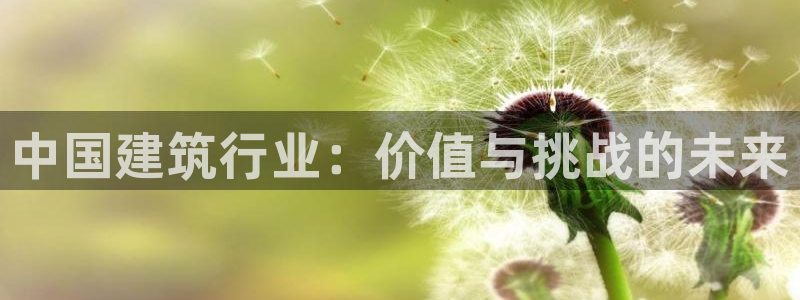 乐发平台下载官网网址：中国建筑行业：价值与挑战的未来