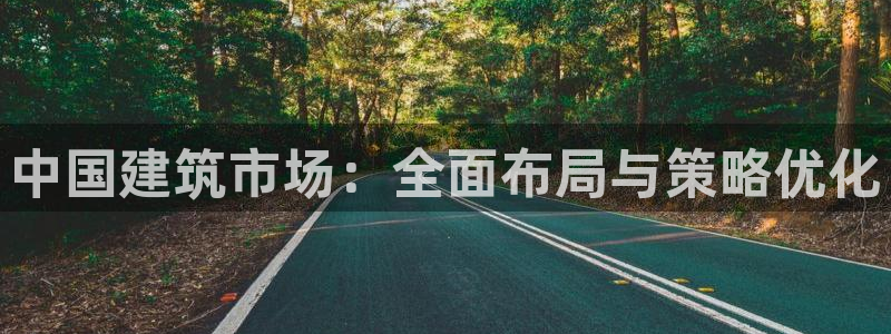 乐发平台为什么打不开了：中国建筑市场：全面布局与策略优化