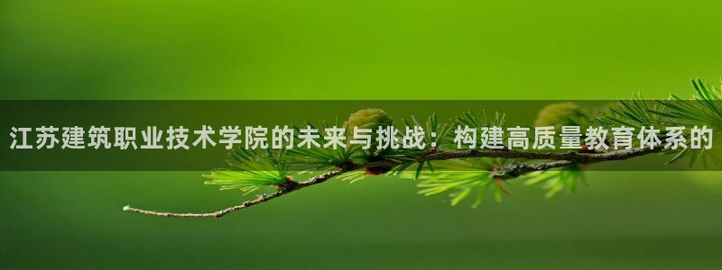 乐豪发娱乐官方平台：江苏建筑职业技术学院的未来与挑战：构建高质量教育体系的