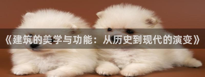 乐发分期是什么贷款平台：《建筑的美学与功能：从历史到现代的演变》