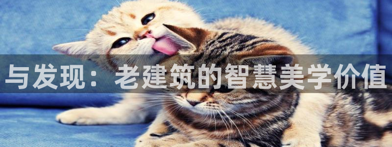 乐发彩票是赌博平台吗：与发现：老建筑的智慧美学价值