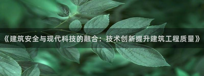 乐发体育平台怎么样知乎：《建筑安全与现代科技的融合：技术创新提升建筑工程质量》