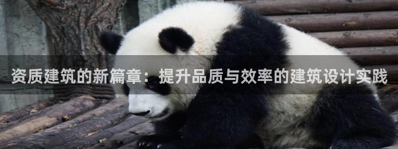 乐豪发平台在线
