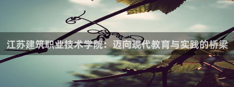 乐发ll 中彩平台：江苏建筑职业技术学院：迈向现代教育与实践的桥梁