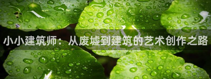 发乐发彩票平台注册码：小小建筑师：从废墟到建筑的艺术创作之路