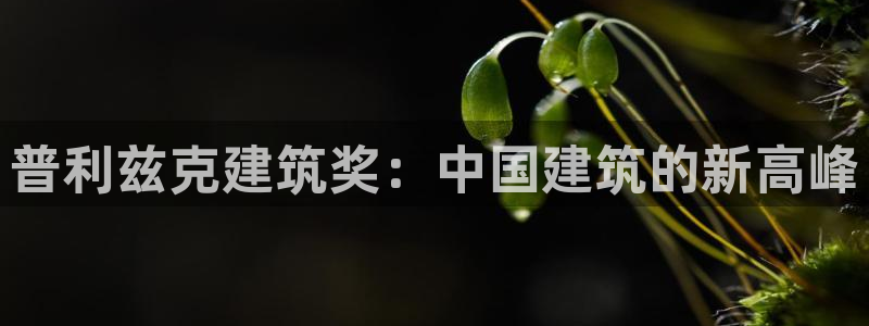 乐发大小单双平台：普利兹克建筑奖：中国建筑的新高峰
