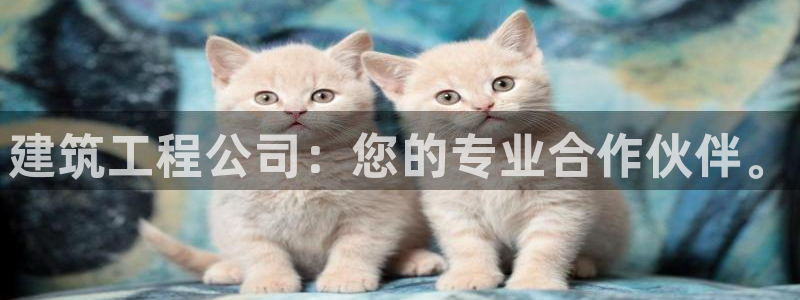 1分快三赚钱平台乐发：建筑工程公司：您的专业合作伙伴。