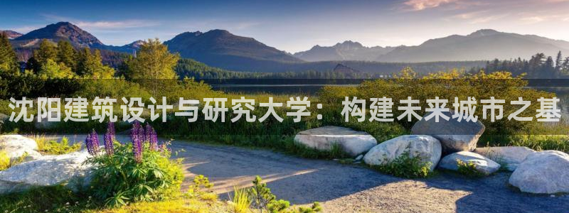 乐发彩票平台入口官网：沈阳建筑设计与研究大学：构建未来城市之基