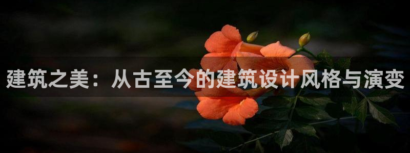 乐跑工资发平台还是卡里：建筑之美：从古至今的建筑设计风格与演变