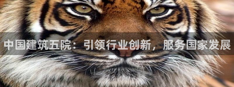 乐发111彩票平台下载：中国建筑五院：引领行业创新，服务国家发展