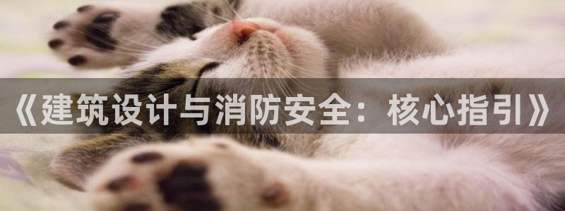 乐发平台下载安装最新版：《建筑设计与消防安全：核心指引》