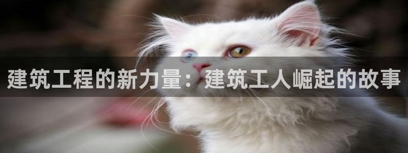 乐发lv官方平台：建筑工程的新力量：建筑工人崛起的故事