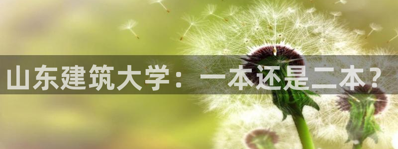 乐发II平台：山东建筑大学：一本还是二本？