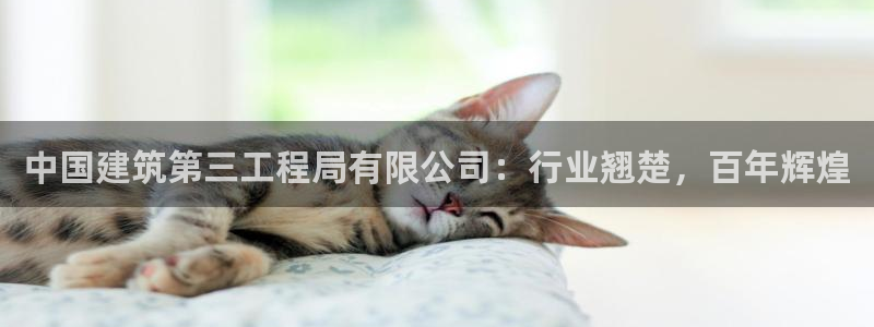 乐发平台赚钱技巧：中国建筑第三工程局有限公司：行业翘楚，百年辉煌