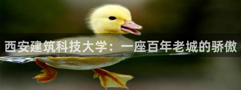 乐发平台今天咋打不开：西安建筑科技大学：一座百年老城的骄傲