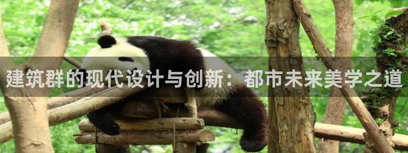 乐发彩票平台官网：建筑群的现代设计与创新：都市未来美学之道