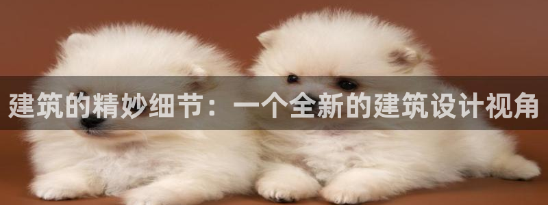 乐发lv这个平台怎么样：建筑的精妙细节：一个全新的建筑设计视角