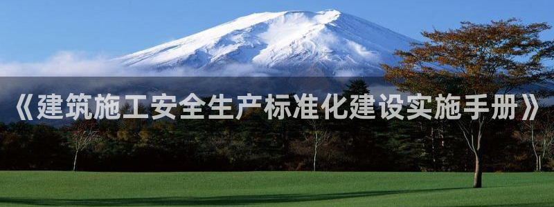 乐发lv是正规平台吗：《建筑施工安全生产标准化建设实施手册》
