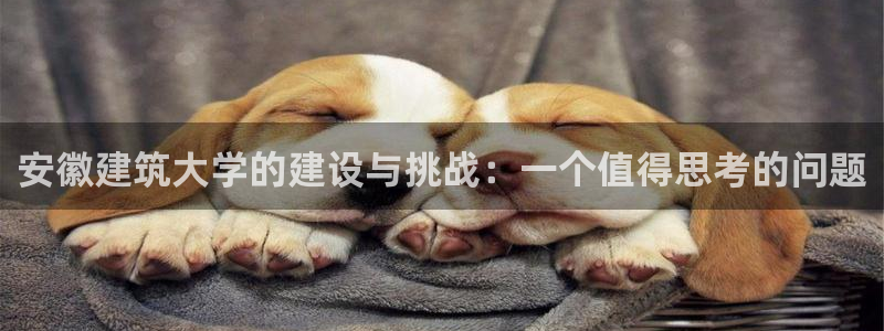 乐发平台总部：安徽建筑大学的建设与挑战：一个值得思考的问题